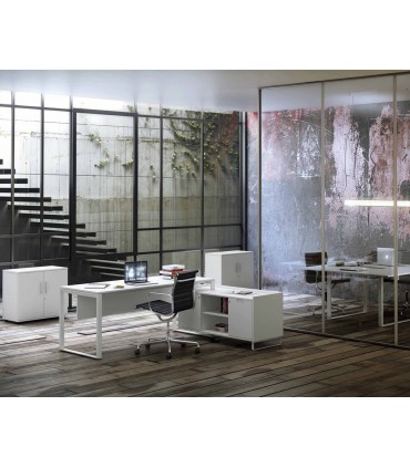 ADAPTA 2 PLUS EJECUTIVO