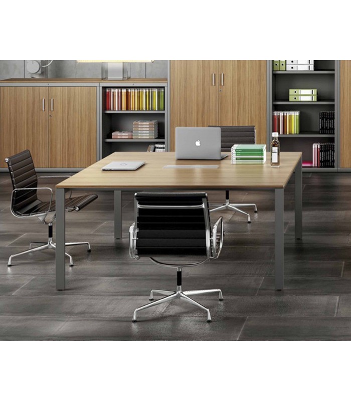 ADAPTA PLUS REUNIONES